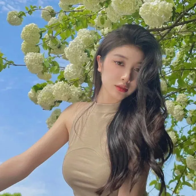 屋顶上的轻骑兵